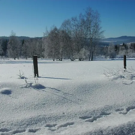 Svojse - Druha Zona N P